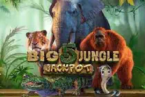 Big5 Jungle JackpotИграть на реальные деньги